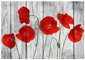 Φωτοταπετσαρία - Tale of Red Poppies 400x280