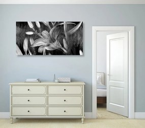 Εικόνα ενός ανθισμένου κρίνου σε ασπρόμαυρο - 120x60