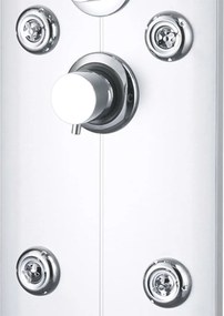 vidaXL Στήλη Ντους Υδρομασάζ Ασημί 25 x 43 x 120 εκ.