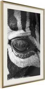 Αφίσα - Zebra Is Watching You - 20x30 - Χρυσό - Με πασπαρτού