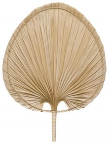 Διακοσμητικό Τοίχου Palm Leave AH-AX20096 41x54cm Natural Andrea House Φύλλο Φοίνικα