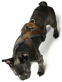 Λουρί Σκύλου Hunter London Comfort XS-S 39-47 cm Καφέ