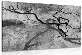 Εικόνα σουρεαλιστικών δέντρων σε μαύρο & άσπρο - 90x60