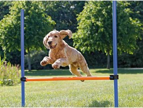 Παιχνίδι εκπαίδευσης Trixie