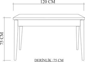 Τραπεζαρία 3τμχ Πεύκο Atlantic / Γκρι COSTA 120x75x75