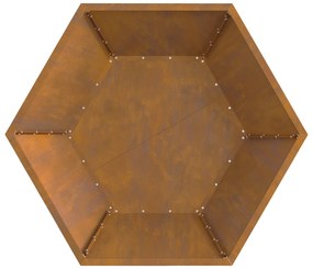 vidaXL Εστία Φωτιάς Εξαγωνική 100x100x28 εκ Ανθεκτικό Ατσάλι