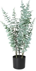Τεχνητό Φυτό Ευκάλυπτος Πράσινο 76cm Tobetsu 428378 Eglo 428378