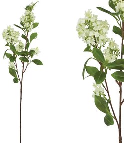 MarHome ΚΛΑΔΙ ΟΣΜΑΝΘΟΣ ΛΕΥΚΟ - Υ80cm 24/240ΚΙΒ  00-23306-3