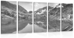 Εικόνα 5 τεμαχίων μαστιγιωτών βουνών σε ασπρόμαυρο - 100x50