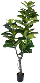 Διακοσμητικό φυτό Fiddlehead I σε γλάστρα Inart πράσινο pp Υ180εκ