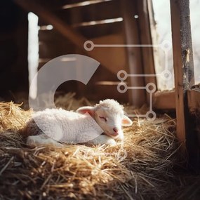 Intra Συλλεκτικό Ξύλινο Παζλ Plywood 4mm - Αρνί ύπνου σε αχυρώνα Σε Ξύλινο Κουτί - Διαστάσεις: 10x10 cm – 25 κομμάτια