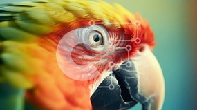 Σετ των 2 Intra Συλλεκτικό Ξύλινο Παζλ Plywood  4mm - Πολύχρωμος παπαγάλος σε πρώτο πλάνο Σε Ξύλινο Κουτί - Διαστάσεις: 10x10 cm – 25 κομμάτια