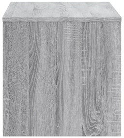Έπιπλο Τηλεόρασης Γκρι Sonoma 120x40x40 εκ. Επεξεργασμένο Ξύλο - Γκρι