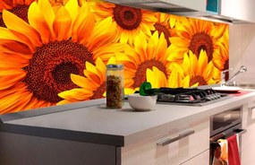 Αυτοκόλλητη φωτοταπετσαρία για ηλίανθους κουζίνας - 180x60