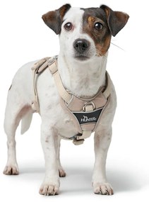 Λουρί Σκύλου Hunter DIVO UP Μπεζ L/XL