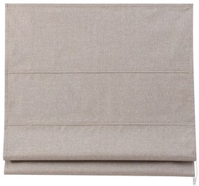 Ρόμαν Συσκότισης (60x230) Grace Shiny Beige 680623