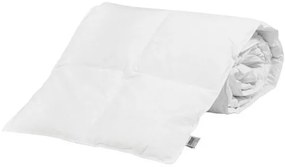 Beauty Home Πάπλωμα μονό Renewal Art 4084 200gsm 3D FILLING 160x230 Λευκό