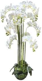 MarHome ΦΥΤΟ ΟΡΧΙΔΕΑ ΛΕΥΚΟ ΑΝΘΗ REAL TOUCH - Υ135cm 1/ΚΙΒ  04-94371-1