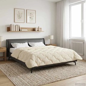 vidaXL Κουβέρτα ολόκληρου του χρόνου 220 x 260 cm
