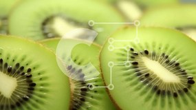 Σετ των 2 Intra Συλλεκτικό Ξύλινο Παζλ Plywood 4mm - Γκρο πλαν πράσινες φέτες ακτινίδιο Σε Ξύλινο Κουτί - Διαστάσεις: 10x10 cm – 25 κομμάτια