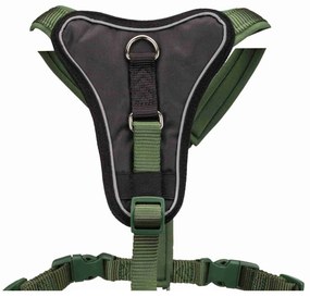 Λουρί Σκύλου Trixie Premium Πράσινο XS