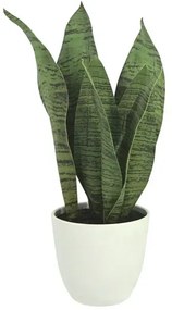 MarHome ΦΥΤΟ ΣΑΝΣEΒIΕΡΙΑ ΠΡΑΣΙΝΟ REAL TOUCH ΣΕ ΚΑΣΠΩ - Υ41cm 2/12KΙΒ 04-20037(22098)