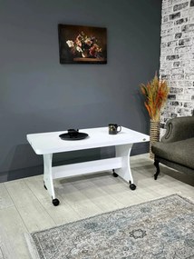 Stewehome ΤΡΑΠΕΖΙ ΜΕ ΡΟΛΑ-λευκό 100x60x53 cm