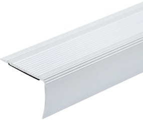 vidaXL Βάση Σκάλας 10 pcs Ασημί 67 cm Αλουμίνιο