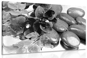 Εικόνα ανθισμένης ορχιδέας και πέτρες σπα σε ασπρόμαυρο - 120x80