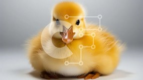 Σετ των 2 Intra Συλλεκτικό Ξύλινο Παζλ Plywood 4mm - Χαριτωμένη κίτρινη πάπια με χνουδωτά φτερά Σε Ξύλινο Κουτί - Διαστάσεις: 10x10 cm – 25 κομμάτια