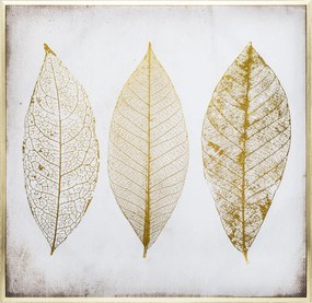Πίνακας Με Κορνίζα (58x58) A-S Feather 166941