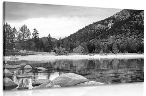 Εικόνα λίμνης σε όμορφη φύση σε ασπρόμαυρο - 60x40