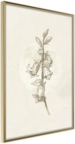 Αφίσα - Beige Campanula - 30x45 - Χρυσό - Χωρίς πασπαρτού