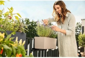 Βάζο Λουλουδιών Lechuza