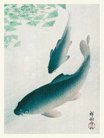 Εκτύπωση έργου τέχνης Two Carp Fish (Japandi Vintage) - Ohara Koson, (30 x 40 cm)