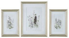Artekko Botanical Πίνακας με Κορνίζα Πλαστικό Γυαλί Λευκό Χρυσό (60x3x80)cm Σετ/3 Artekko SM49952