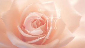 Intra Συλλεκτικό Ξύλινο Παζλ Plywood  4mm - Κοντινό πλάνο ενός ροζ τριαντάφυλλου Σε Ξύλινο Κουτί - Διαστάσεις: 10x10 cm – 25 κομμάτια