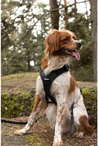 Λουρί Σκύλου SYMBIOZ Μαύρο XXS