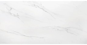 Πλακάκι POLO CARRARA Mat Satine KARAG 60x120