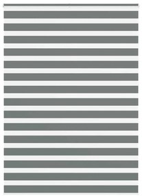 vidaXL Ζέβρα τυφλή Σκούρο Γκρι Πλάτος υφάσματος 160,9 εκ. Πολυεστέρας