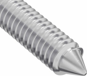 vidaXL Βίδα 2 pcs Ασημί M6 x 100 χιλ. Ατσάλι