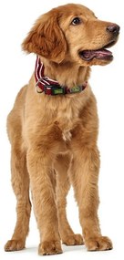 Κολλάρο Σκύλου Hunter Plus Νήμα Κόκκινο Μέγεθος L (40-60 cm)