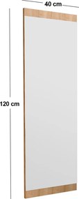 Καθρέπτης Τοίχου Φυσικό AZUS 40x2,2x120
