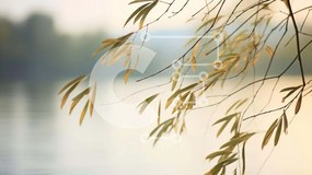 Intra Συλλεκτικό Ξύλινο Παζλ Plywood  4mm - Κλαδί δέντρου με φύλλα κοντά στο νερό Σε Ξύλινο Κουτί - Διαστάσεις: 10x10 cm – 25 κομμάτια