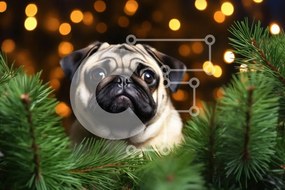 Intra Συλλεκτικό Ξύλινο Παζλ Plywood  4mm - Pug Dog σε εορταστικό περιβάλλον Σε Ξύλινο Κουτί - Διαστάσεις: 10x10 cm – 25 κομμάτια