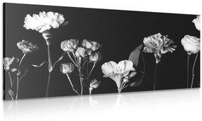 Εικόνα κομψών ασπρόμαυρων λουλουδιών - 100x50