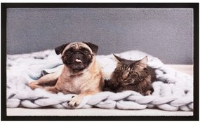 Πατάκι Εισόδου Image 012 Cat Dog 40X60cm Grey-Beige Sdim 40Χ60