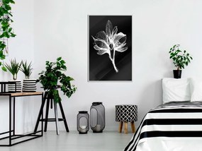 Αφίσα - White Plant - 40x60 - Μαύρο - Με πασπαρτού