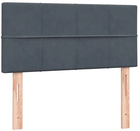 vidaXL Box Spring Κρεβάτι με στρώμα Σκούρο γκρι 80x210 εκ. Βελούδινο