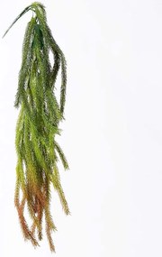 Τεχνητή Κρεμαστή Φτέρη 1461-7 84cm Green-Red Supergreens Πολυαιθυλένιο